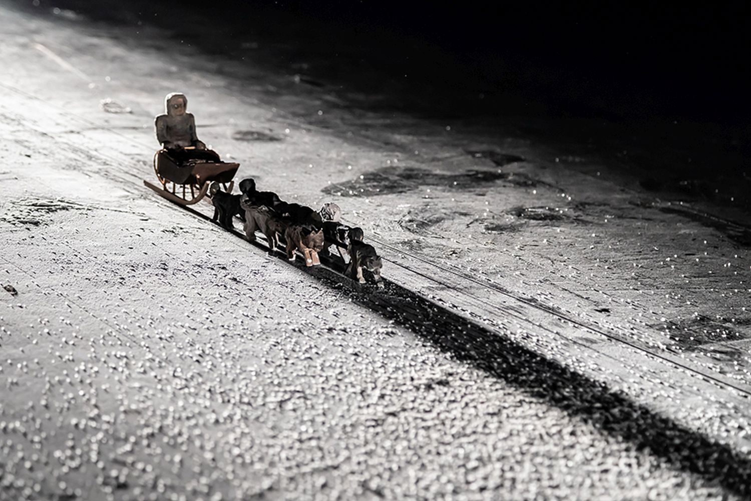 ON THE WOLF’S TRAIL